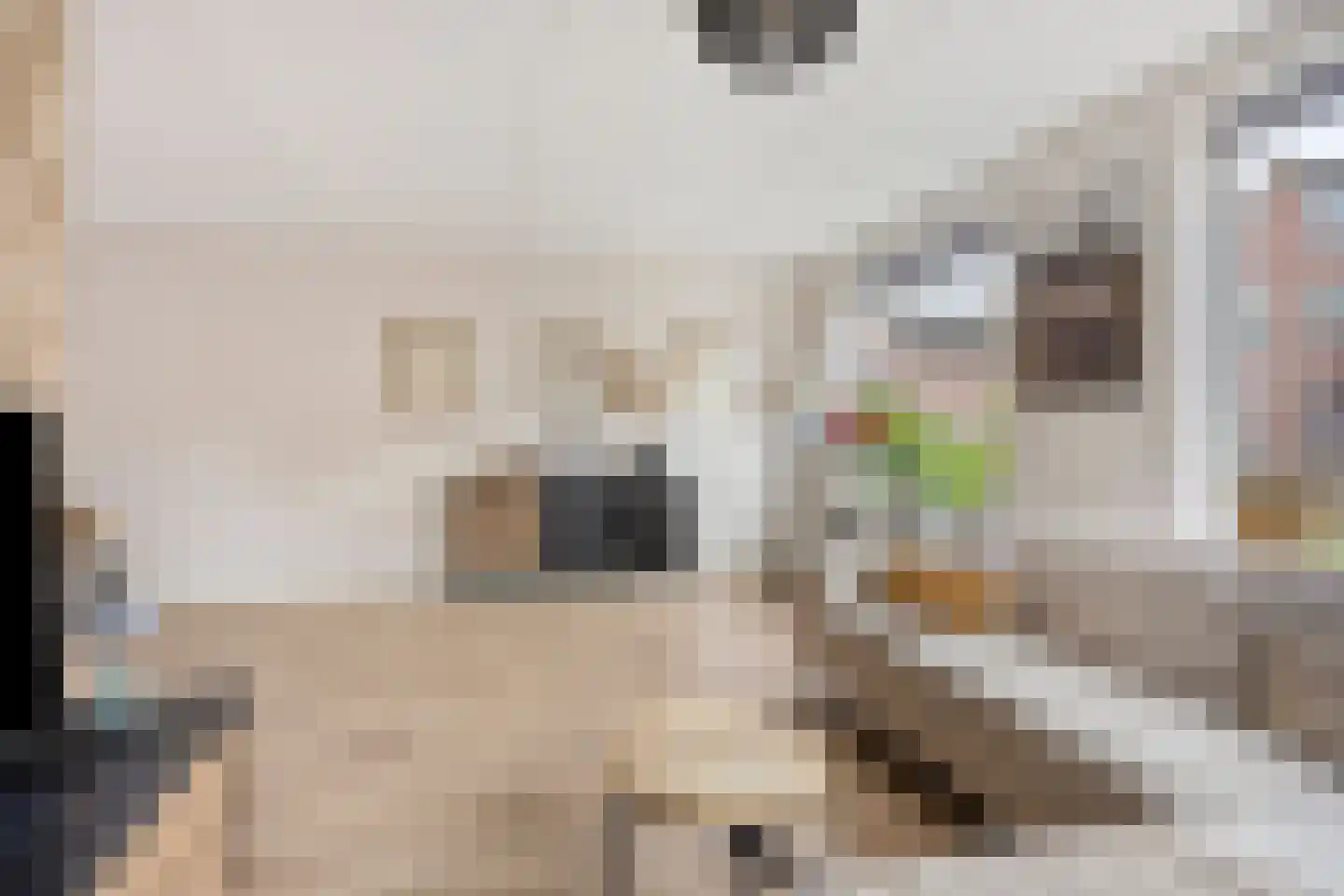 Munnikenland 17 Ruinerwold thumbnail 7