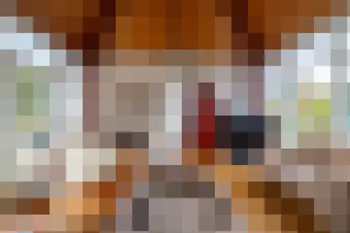 Munnikenland 18 Sleeuwijk thumbnail 10