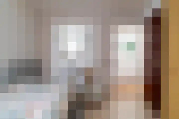 Munnikenland 18 Sleeuwijk thumbnail 18