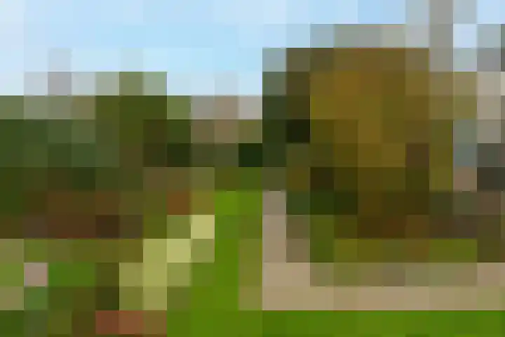 Munnikenland 18 Sleeuwijk thumbnail 22