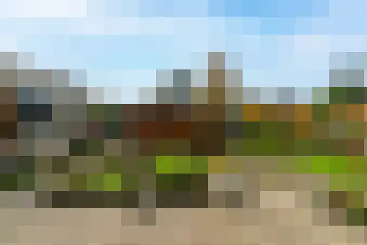 Munnikenland 18 Sleeuwijk thumbnail 23