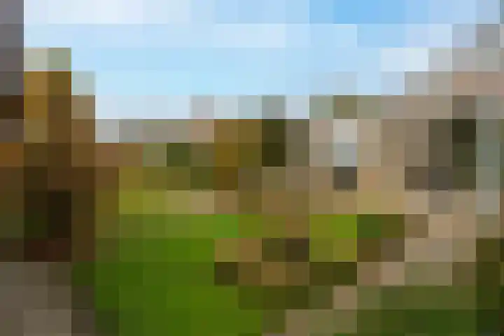 Munnikenland 18 Sleeuwijk thumbnail 24