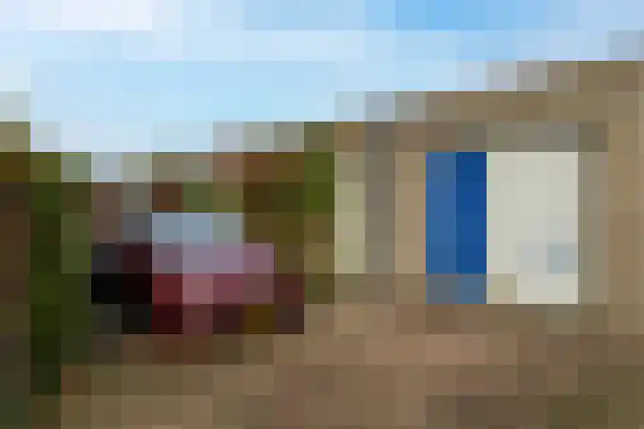 Munnikenland 18 Sleeuwijk thumbnail 25