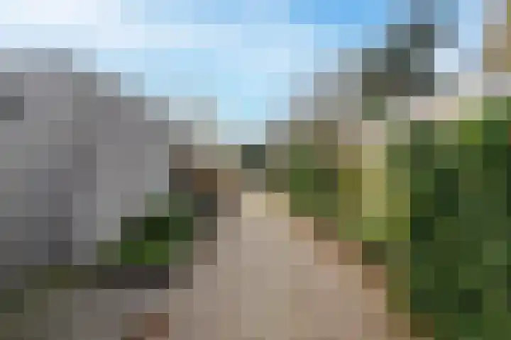 Munnikenland 18 Sleeuwijk thumbnail 26