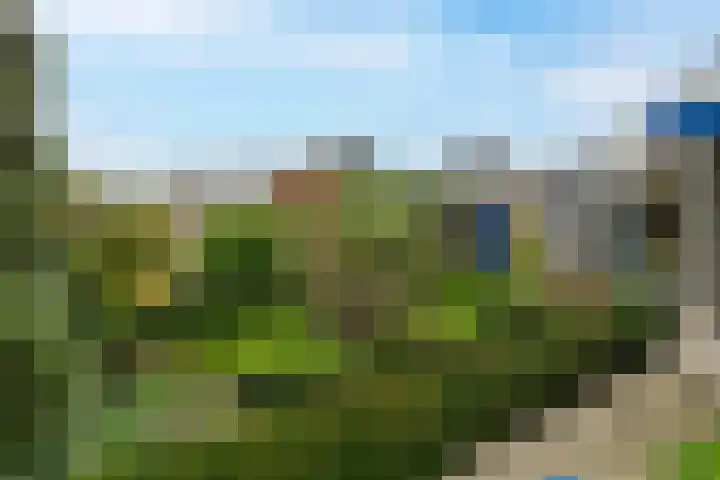 Munnikenland 18 Sleeuwijk thumbnail 4