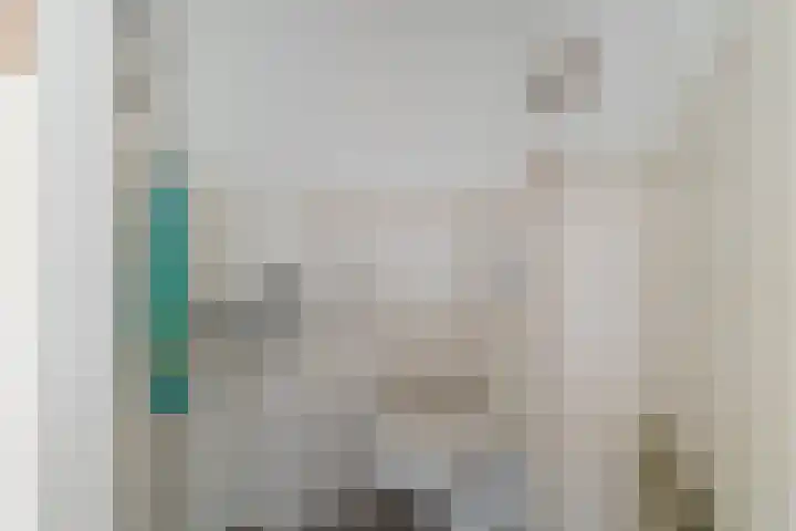 Munnikenland 18 Sleeuwijk thumbnail 6