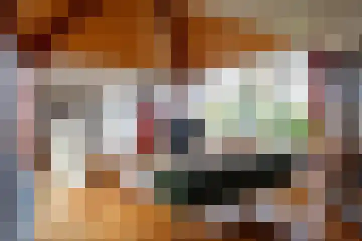 Munnikenland 18 Sleeuwijk thumbnail 7
