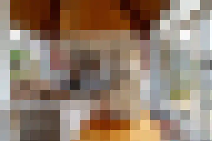 Munnikenland 18 Sleeuwijk thumbnail 8