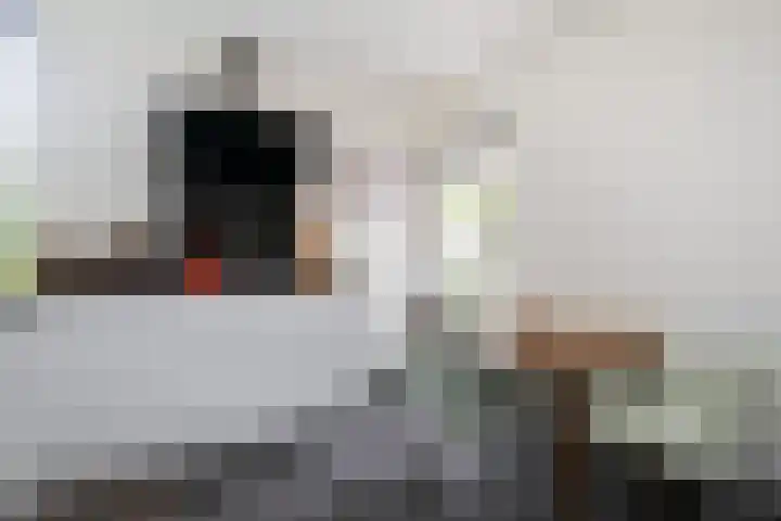 Munnikenland 18 Zoetermeer thumbnail 11