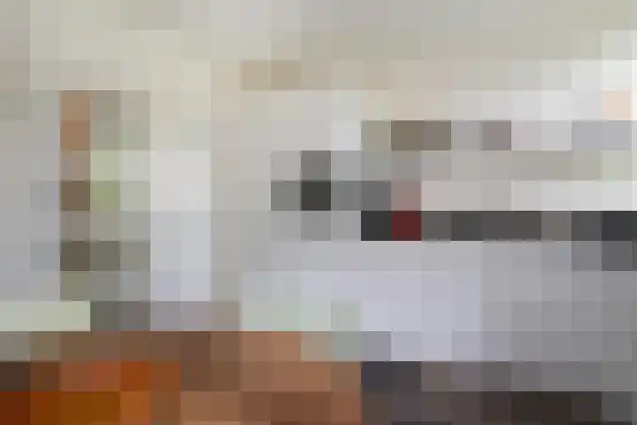 Munnikenland 18 Zoetermeer thumbnail 12