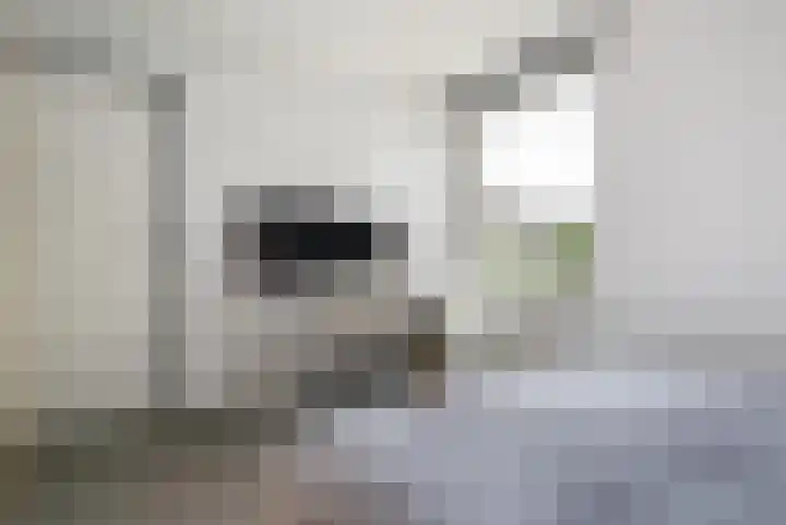 Munnikenland 18 Zoetermeer thumbnail 18