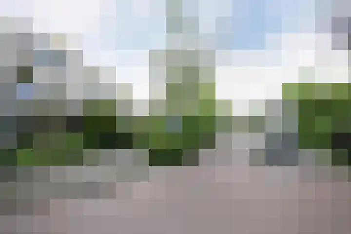 Munnikenland 18 Zoetermeer thumbnail 26