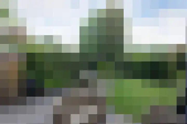 Munnikenland 18 Zoetermeer thumbnail 4