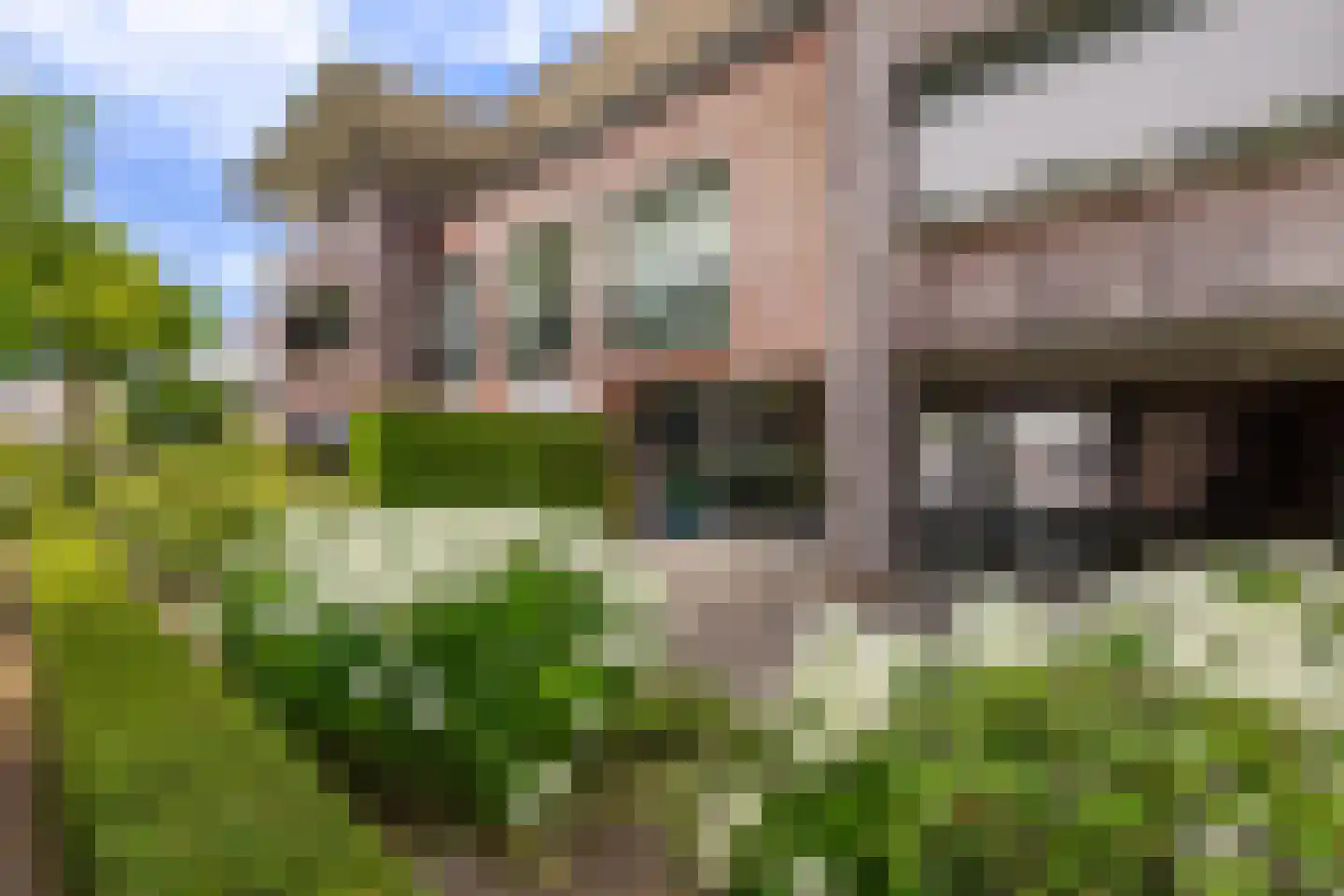 Munnikenland 21 i Sleeuwijk thumbnail 8