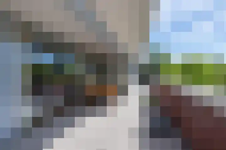 Munnikenland 21 k Sleeuwijk thumbnail 10