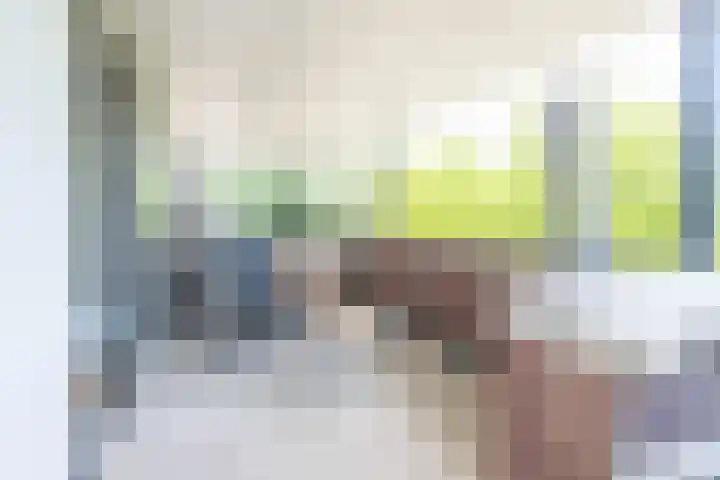 Munnikenland 21 k Sleeuwijk thumbnail 18