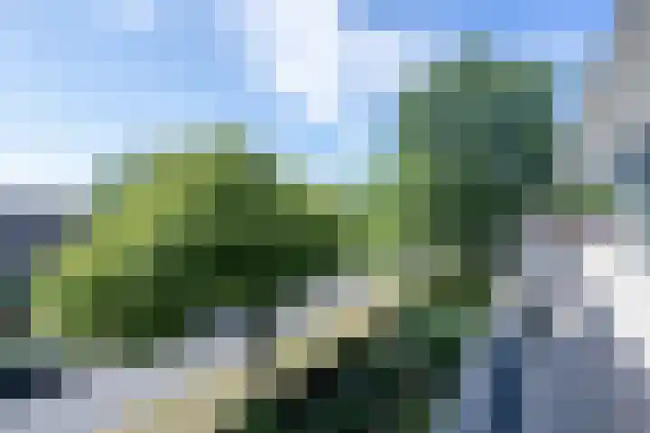 Munnikenland 21 k Sleeuwijk thumbnail 19