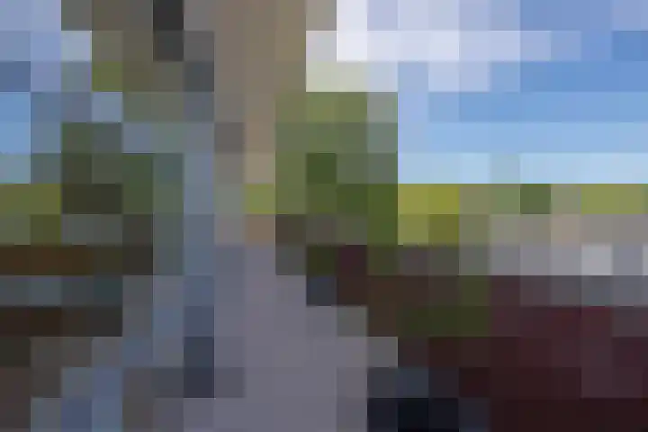 Munnikenland 21 k Sleeuwijk thumbnail 21