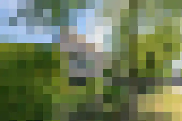 Munnikenland 21 k Sleeuwijk thumbnail 26