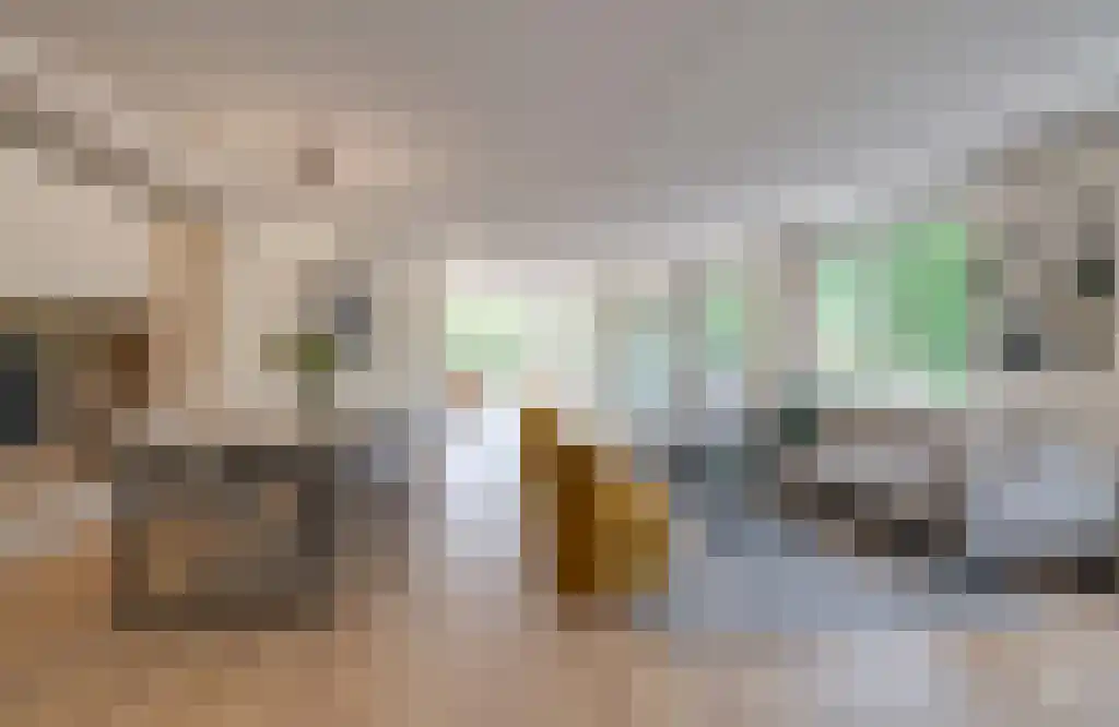 Munnikenland 21 p Sleeuwijk thumbnail 14