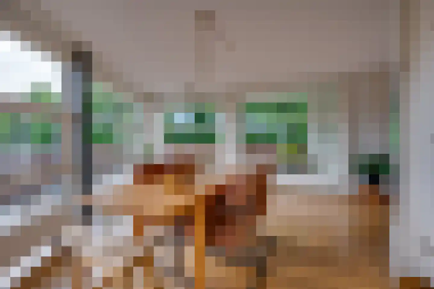 Munnikenland 21 p Sleeuwijk thumbnail 15