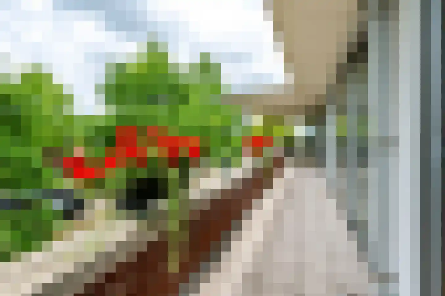 Munnikenland 21 p Sleeuwijk thumbnail 23
