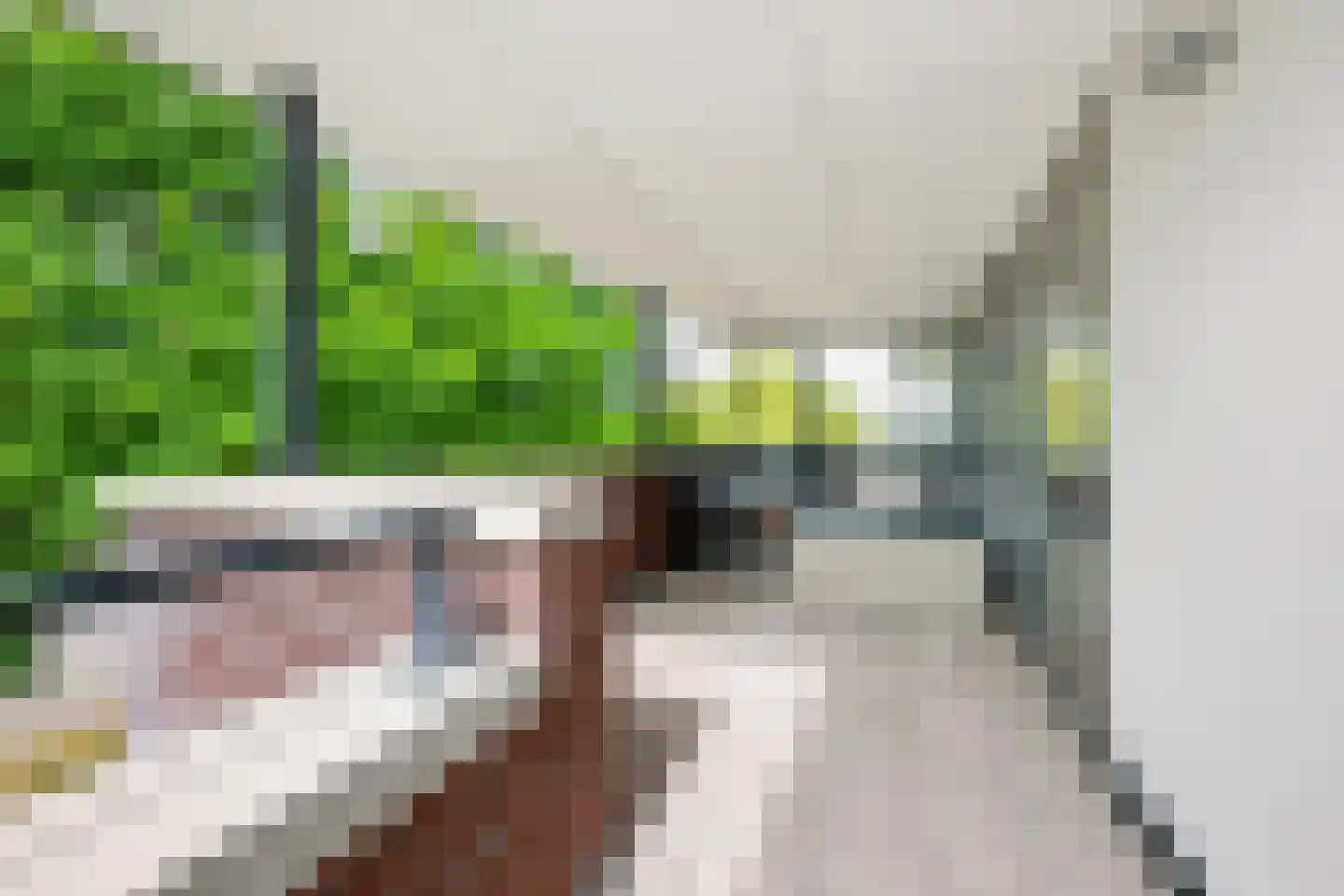 Munnikenland 21 p Sleeuwijk thumbnail 24