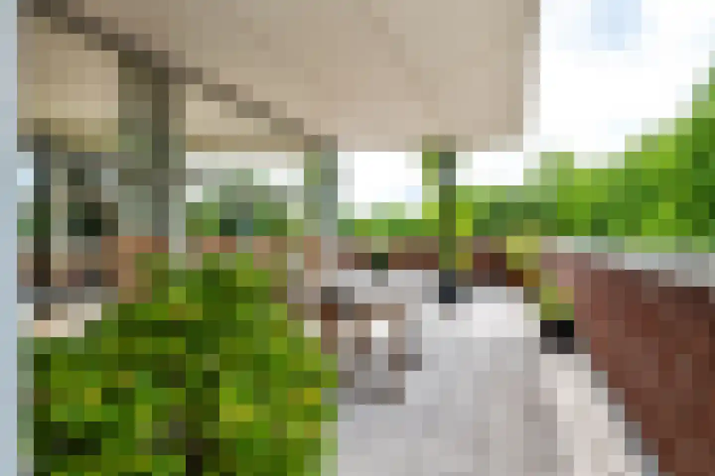 Munnikenland 21 p Sleeuwijk thumbnail 25
