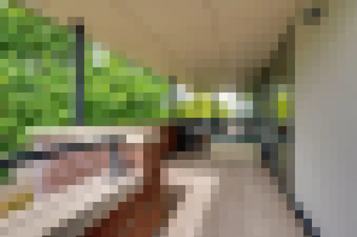 Munnikenland 21 p Sleeuwijk thumbnail 25