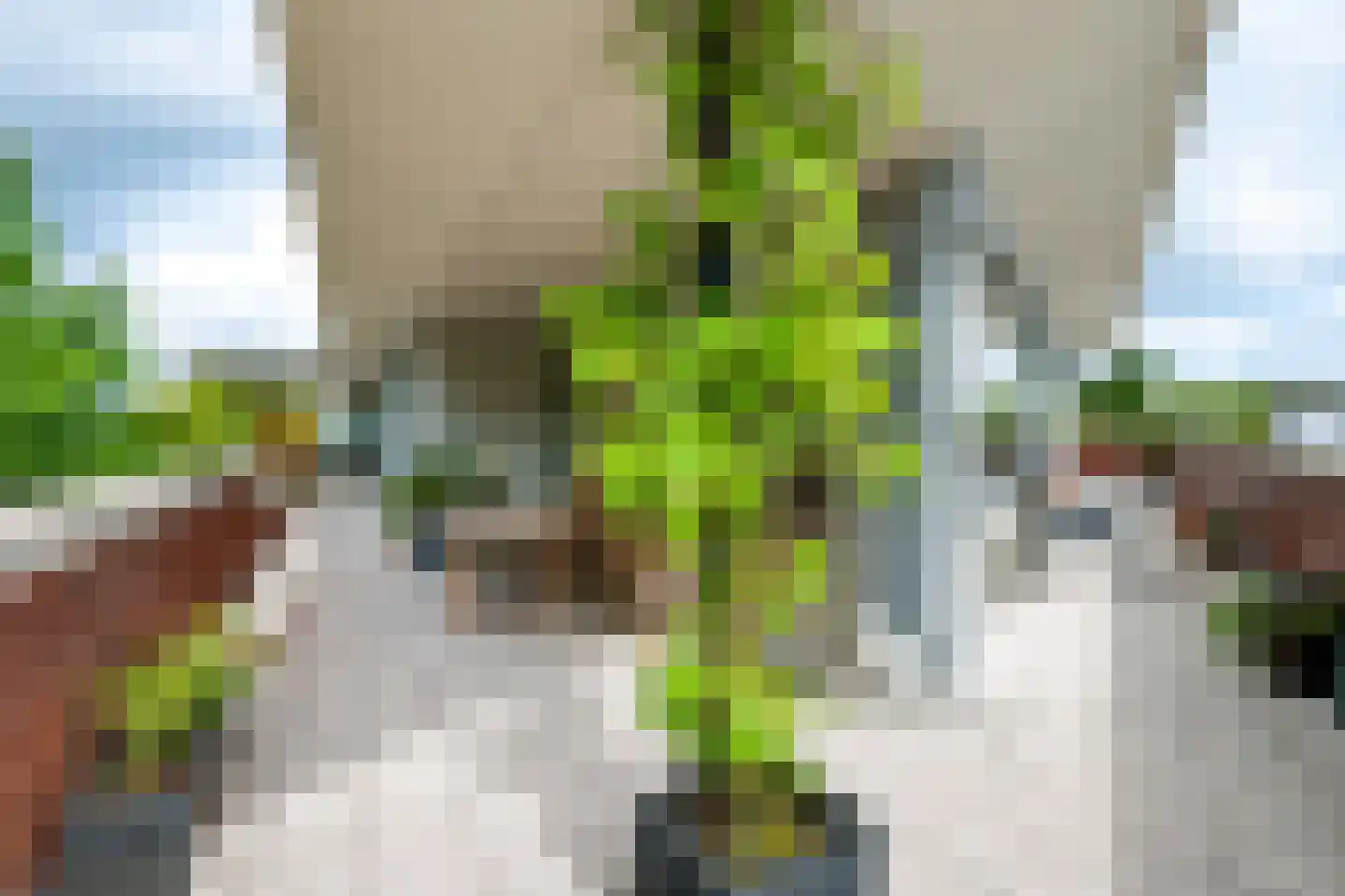 Munnikenland 21 p Sleeuwijk thumbnail 26