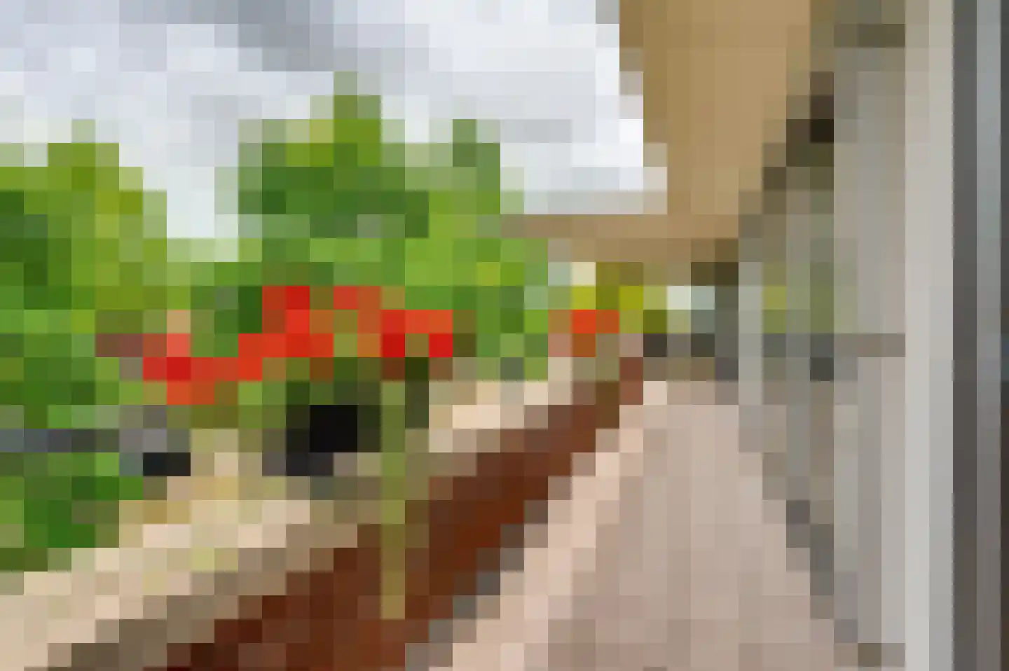 Munnikenland 21 p Sleeuwijk thumbnail 27