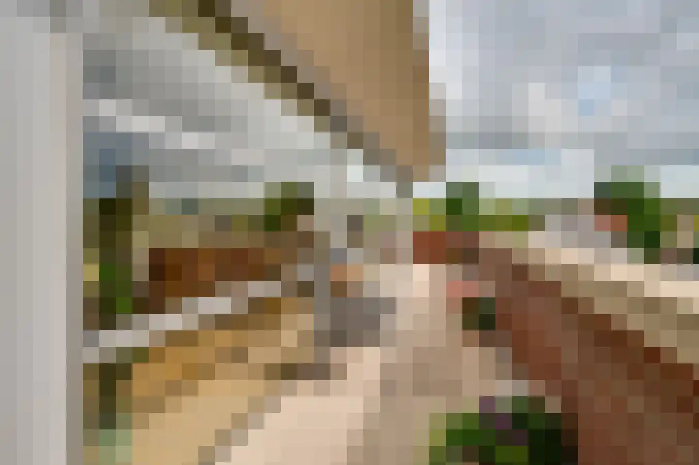 Munnikenland 21 p Sleeuwijk thumbnail 29