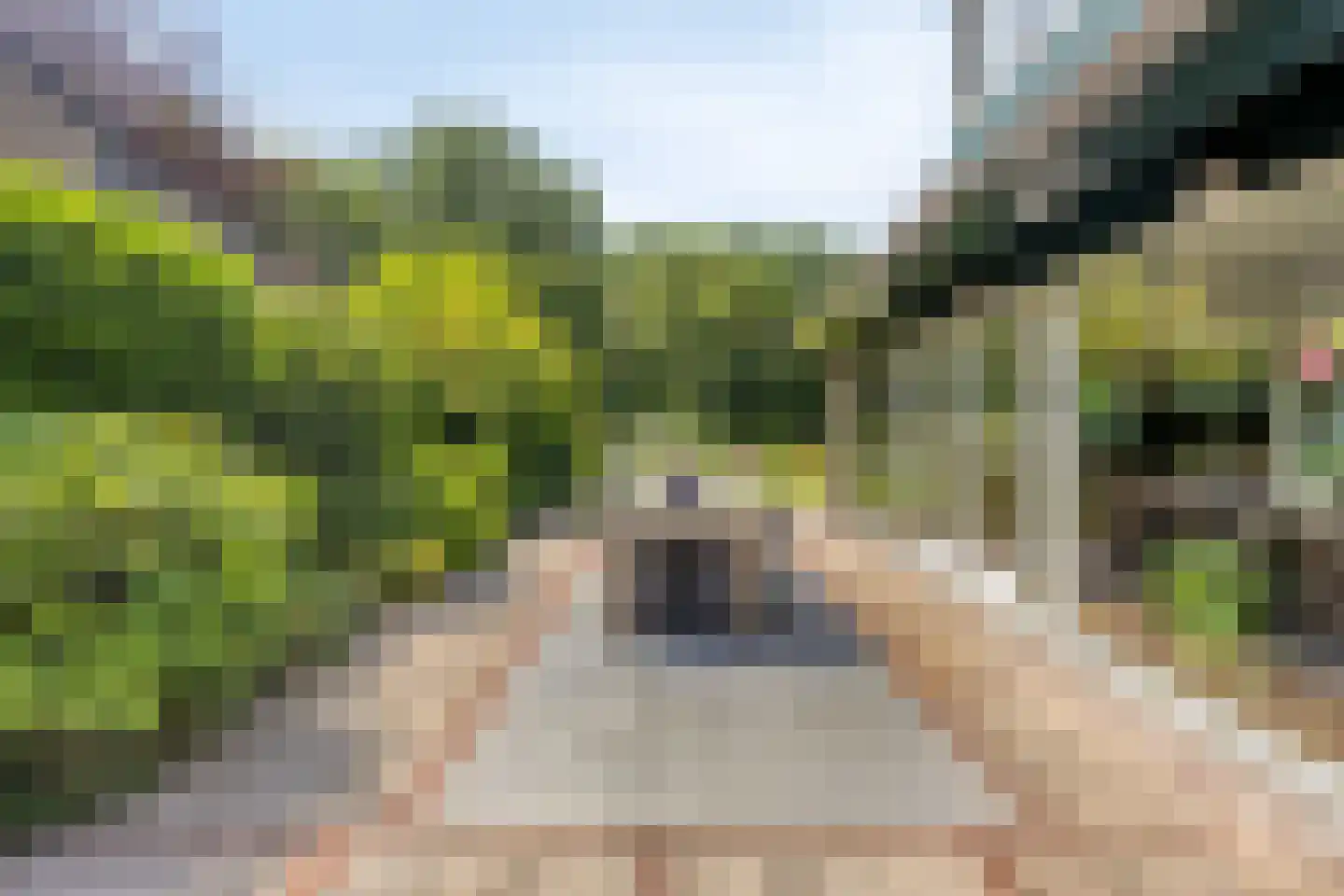 Munnikenland 25 Zoetermeer thumbnail 28