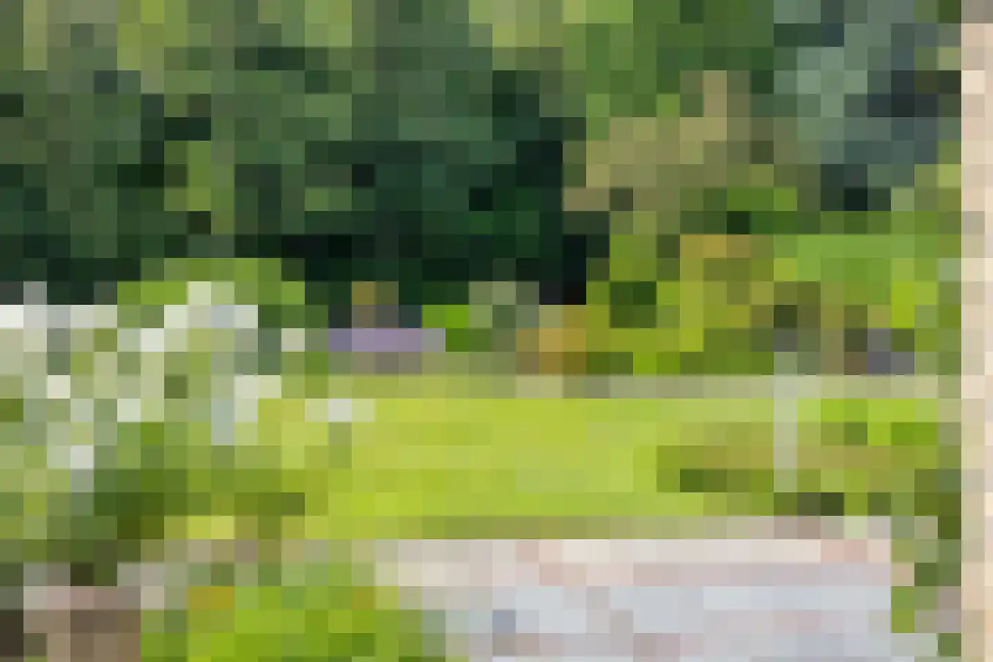 Munnikenland 25 Zoetermeer thumbnail 29