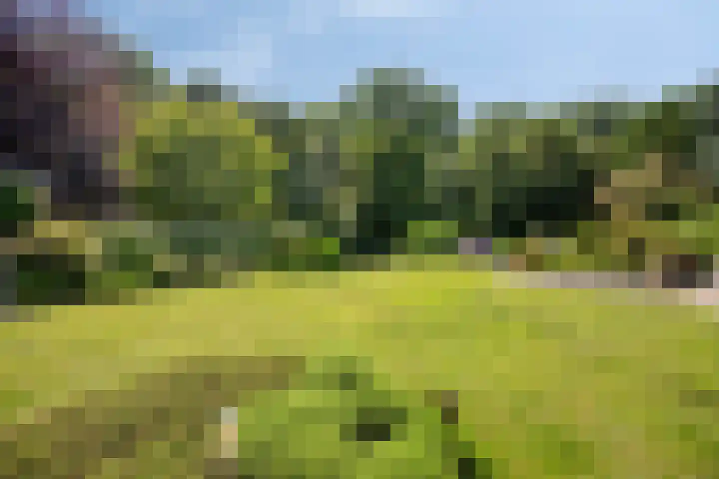 Munnikenland 25 Zoetermeer thumbnail 31