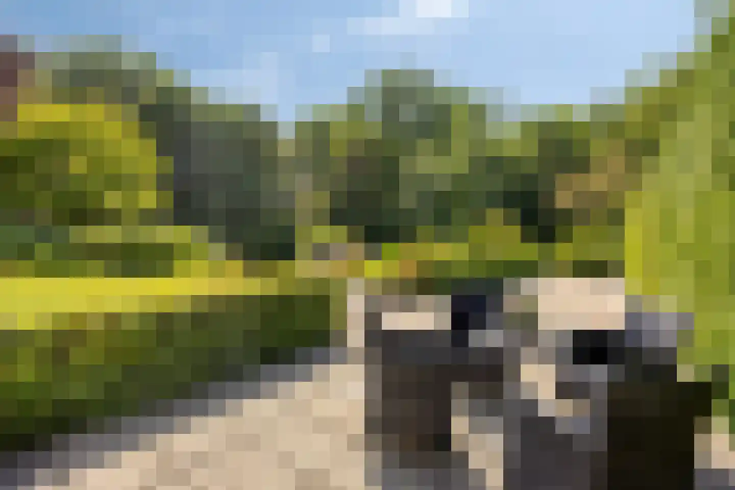 Munnikenland 25 Zoetermeer thumbnail 32