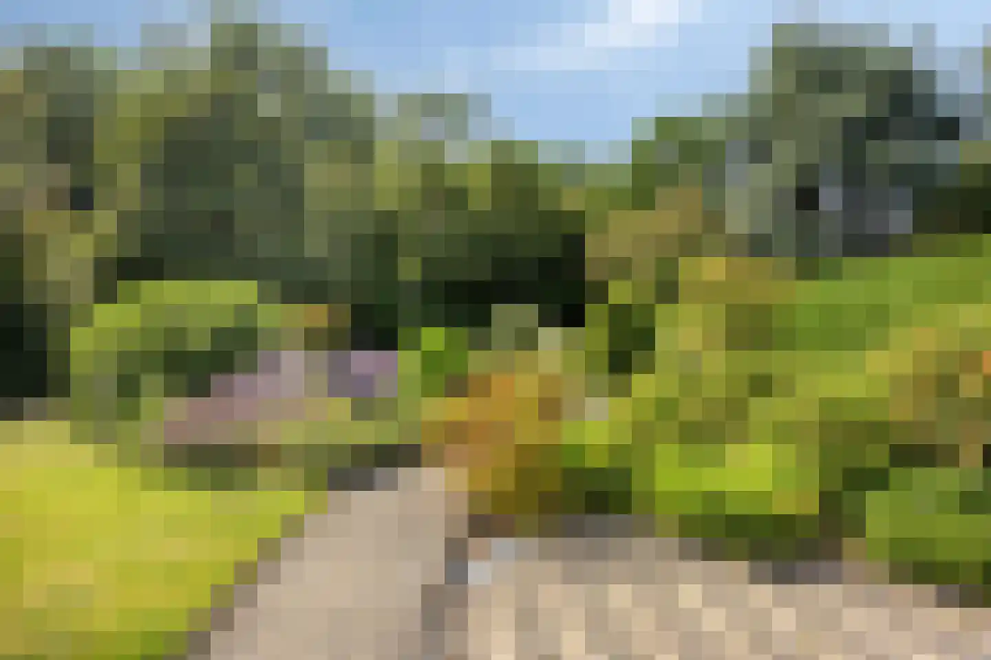 Munnikenland 25 Zoetermeer thumbnail 33