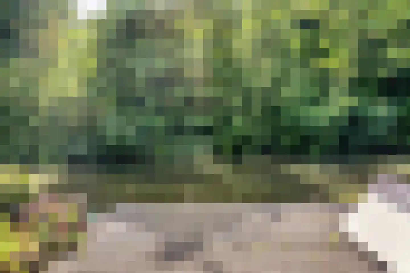 Munnikenland 25 Zoetermeer thumbnail 34