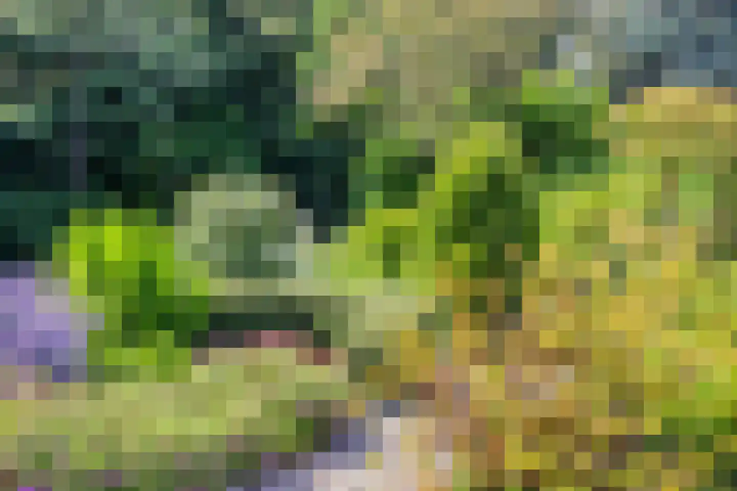 Munnikenland 25 Zoetermeer thumbnail 38
