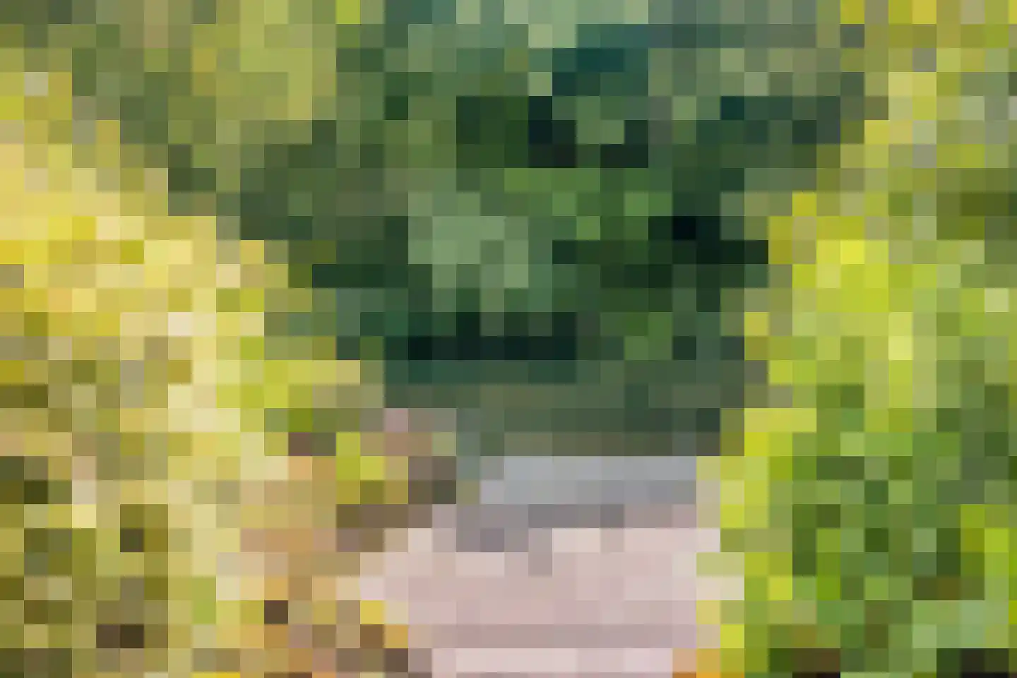 Munnikenland 25 Zoetermeer thumbnail 39