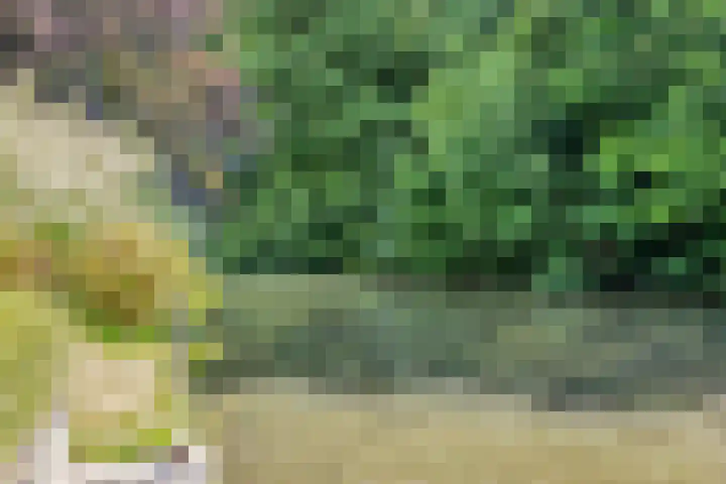 Munnikenland 25 Zoetermeer thumbnail 40