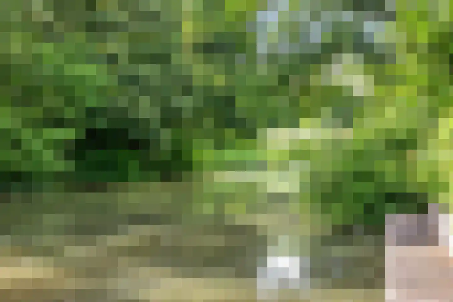 Munnikenland 25 Zoetermeer thumbnail 41