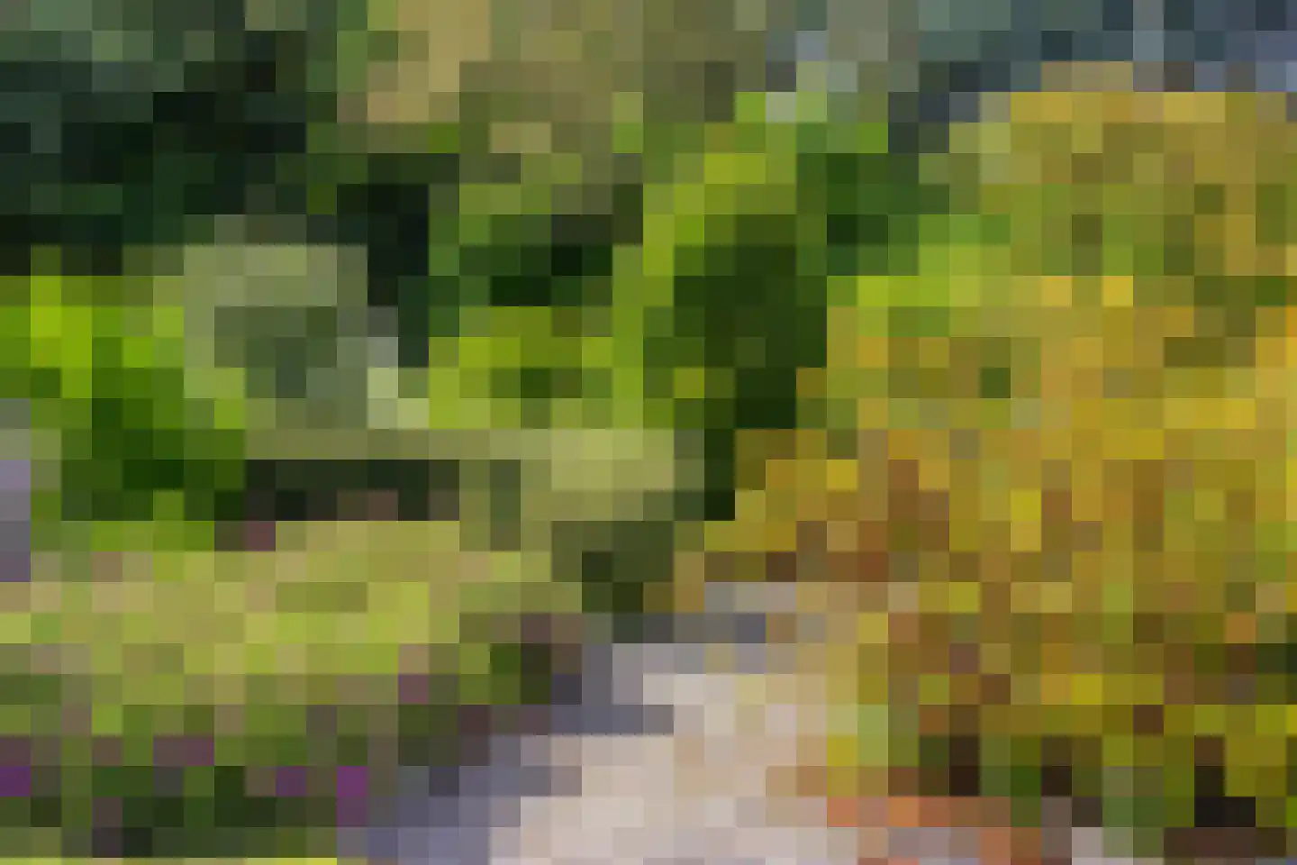 Munnikenland 25 Zoetermeer thumbnail 46