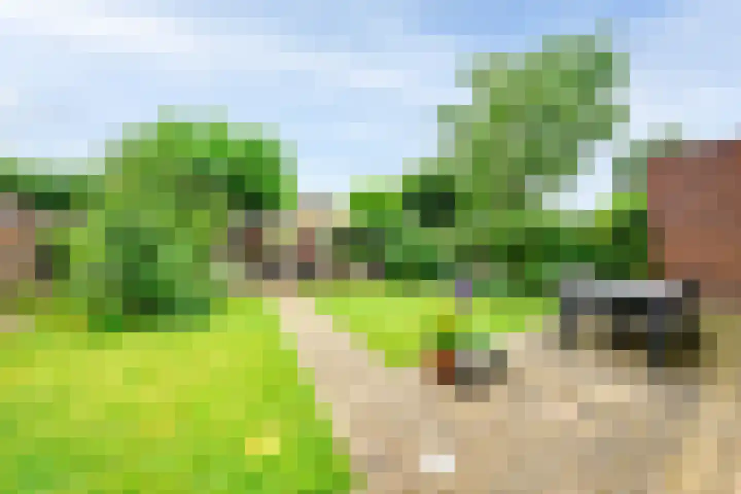 Munnikenland 53 Sleeuwijk thumbnail 34