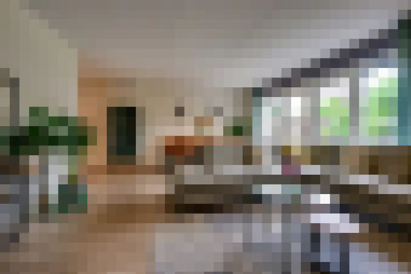 Munnikenland 53 Sleeuwijk thumbnail 8