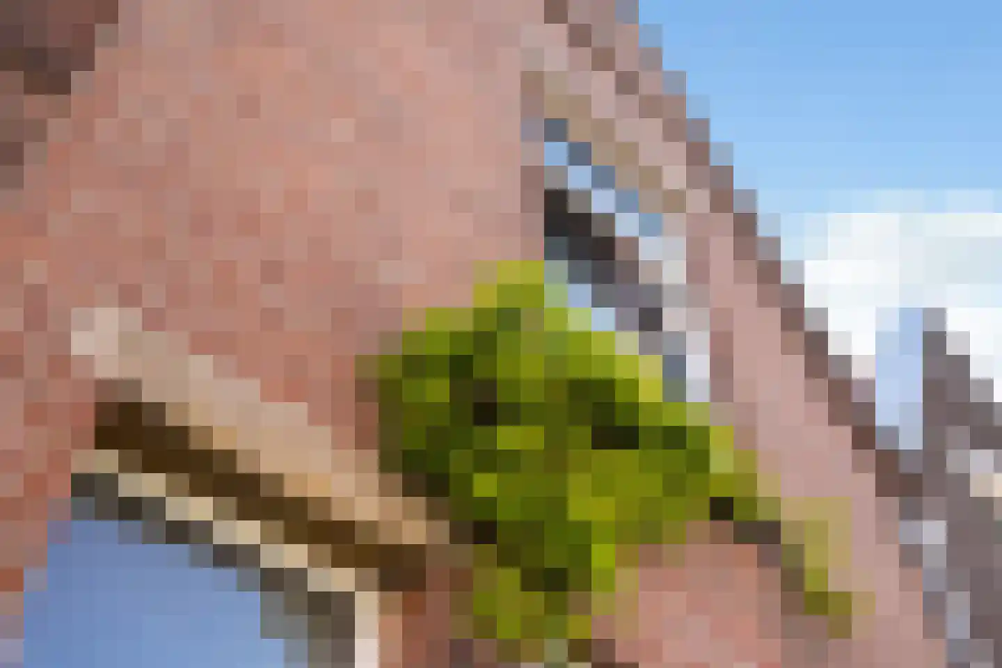 Munnikenstraat 83 Leiden thumbnail 10