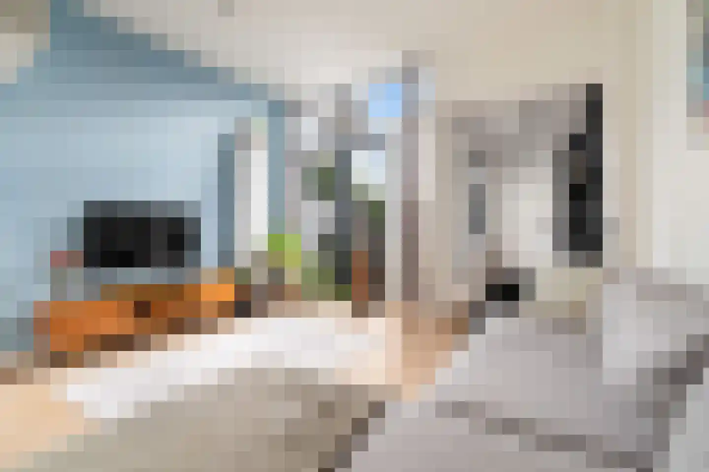Munnikenstraat 83 Leiden thumbnail 16