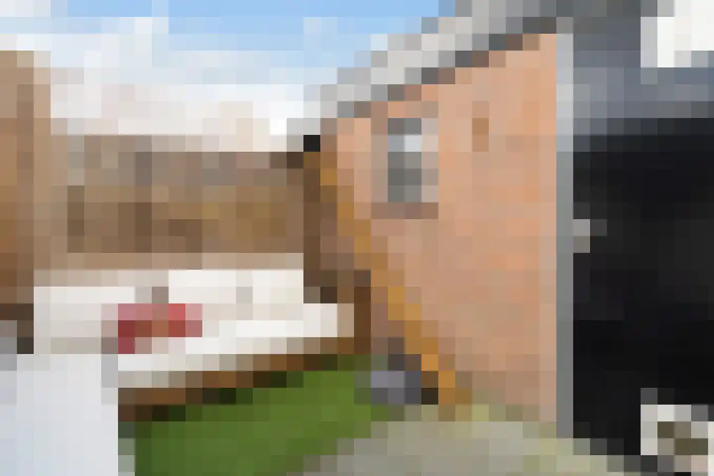 Munnikenstraat 83 Leiden thumbnail 33