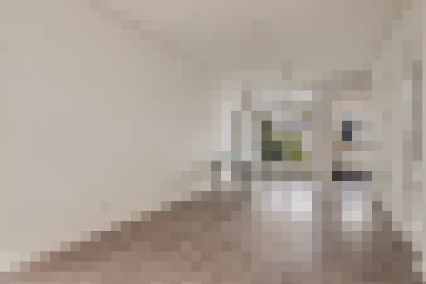 Munnikenstraat 89 Leiden thumbnail 8