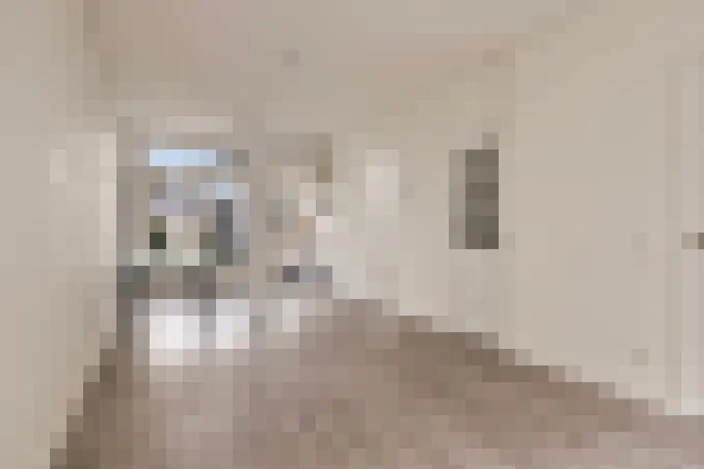 Munnikenstraat 89 Leiden thumbnail 9